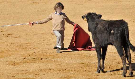 sam_sara79's tweet photo. La tortura animal nunca debería estar por encima de los derechos humanos y la protección de la infancia. La tauromaquia es violencia.

#FirmaNoEsMiCultura

✍️ FIRMA la ILP: https://t.co/xTh7GKw9tK https://t.co/YkzjTuFRrI