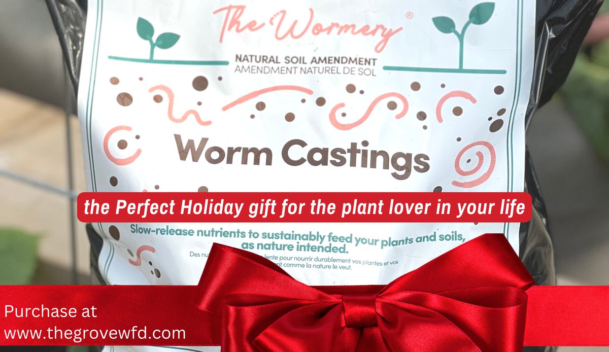 Give your plants the ultimate gift this holiday season!

Castings from The Wormery are the perfect gift for the plant lovers in your life

100% sustainable &amp; locally made💚
The Wormery’s natural soil amendment is the gift that keeps on giving!
🛒thegrovewfd.com🎁