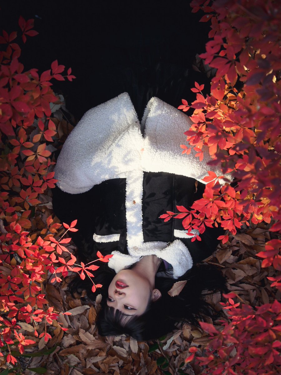 Sui_Eta's tweet photo. 秋は表情が熱いから、自分を冷ましては均衡を保つよう心がける季節に

うぅぅ、寒い、、。

#ファインダー越しの私の世界 https://t.co/DEiMNAT8zp