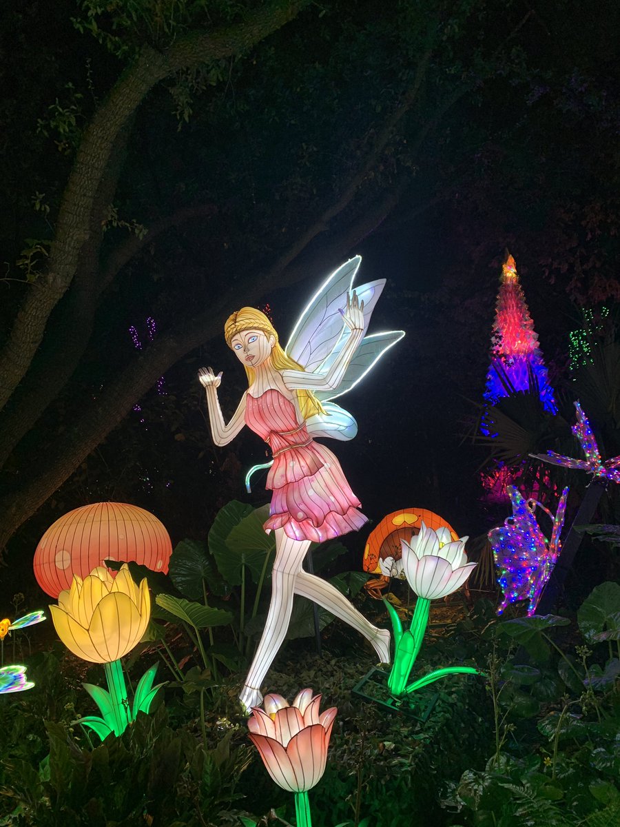 WE DID SEE ANIMALS IN THE NIGHT TIME there was a giraffe and a rhino and a bunny out AND ALSO FAIRIES