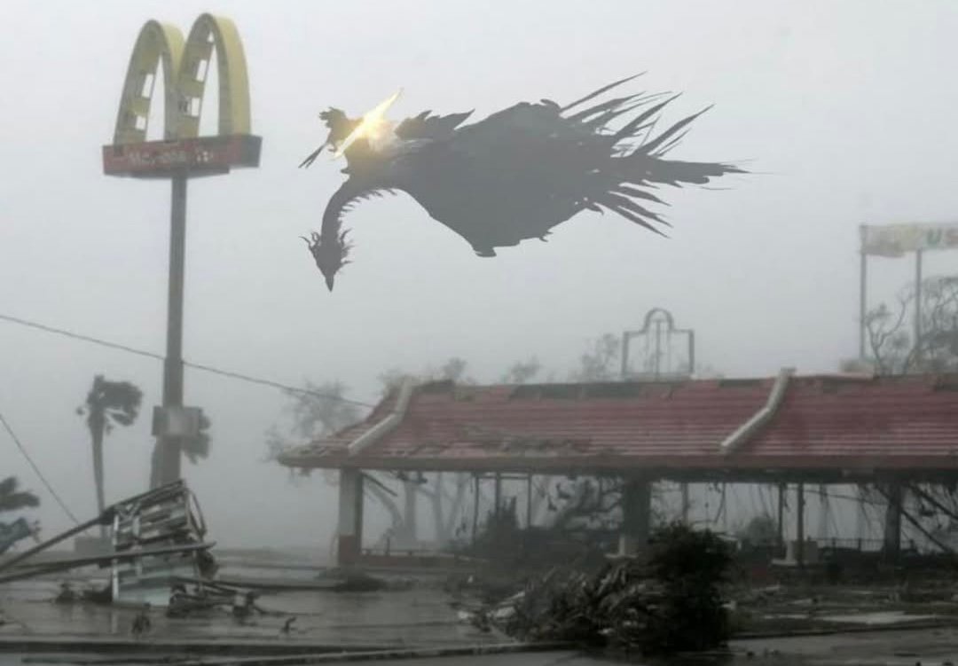 PraiseTheFrom (@praisethefrom) on Twitter photo 