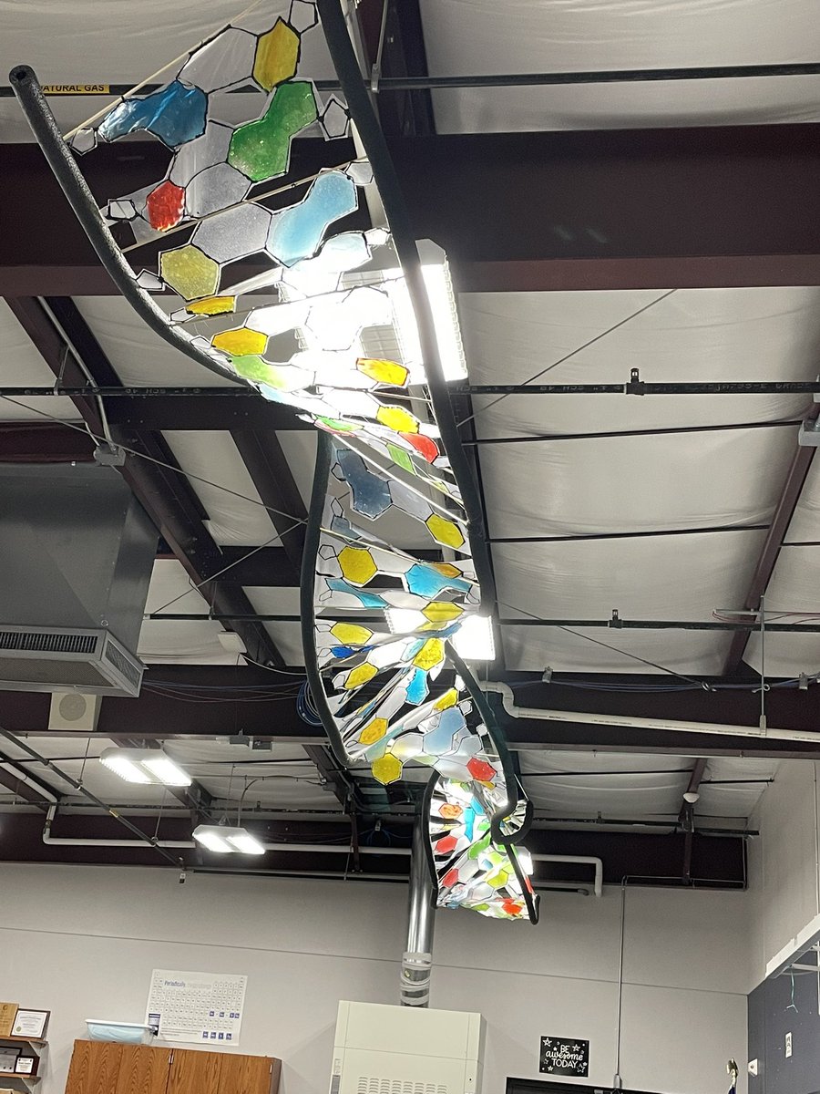 Rachel Sanders (@sandersgisa) on Twitter photo Bioresearch & Art Ss collaborated to make a 20ft DNA model of the first 60 base pairs of a Canadian Goose DNA sequence. The bioplastic nucleotides were made from the glycerin waste of their biodiesel. Teamwork Makes the Dream Work! <a href="/GIAcademy/">Global Impact STEM Academy</a> <a href="/OSLN/">OSLN</a> <a href="/educationproj/">EducationProjects.org</a> Bioresearch & Art Ss collaborated to make a 20ft DNA model of the first 60 base pairs of a Canadian Goose DNA sequence. The bioplastic nucleotides were made from the glycerin waste of their biodiesel. Teamwork Makes the Dream Work! <a href="/GIAcademy/">Global Impact STEM Academy</a> <a href="/OSLN/">OSLN</a> <a href="/educationproj/">EducationProjects.org</a>