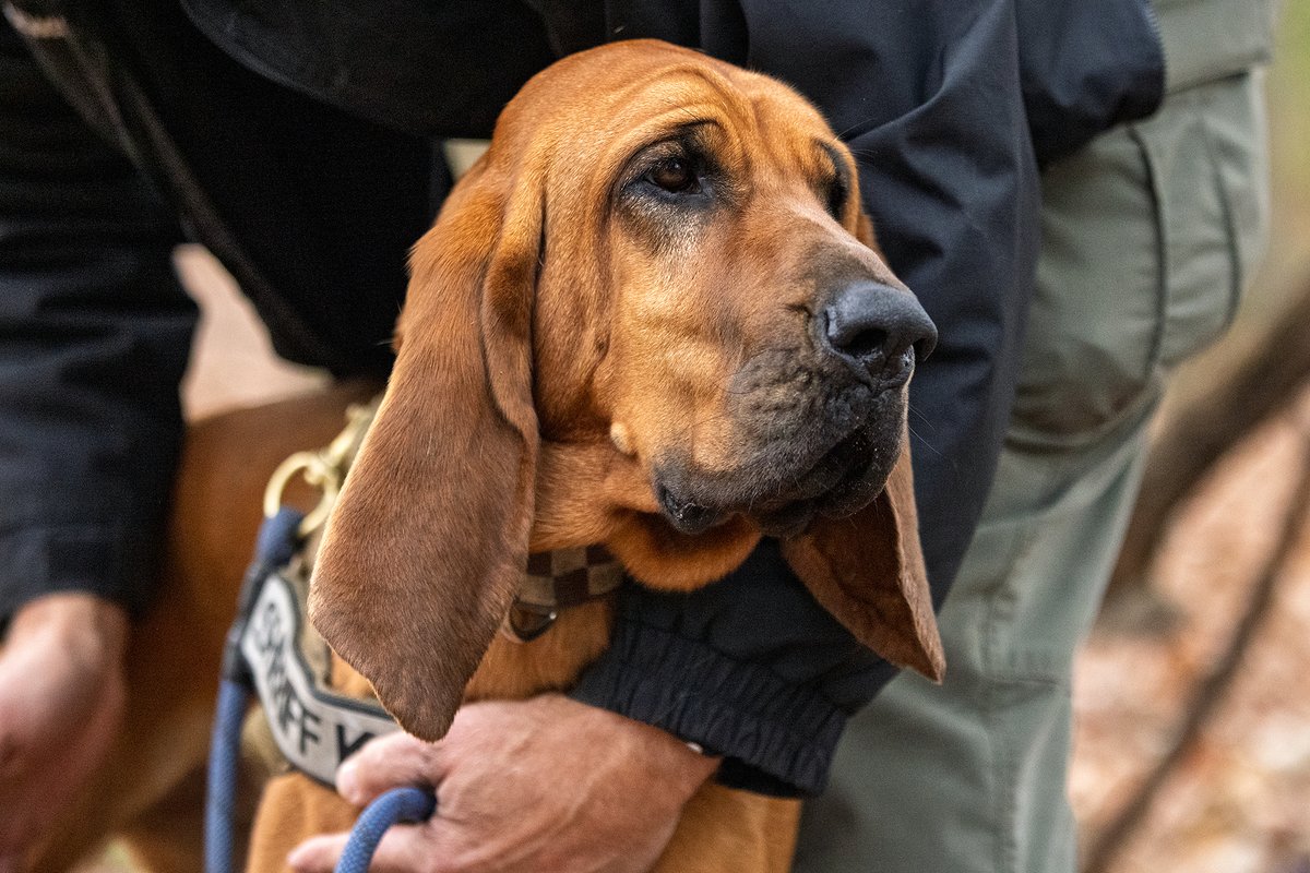 Cook County Sheriff's Office tweet media