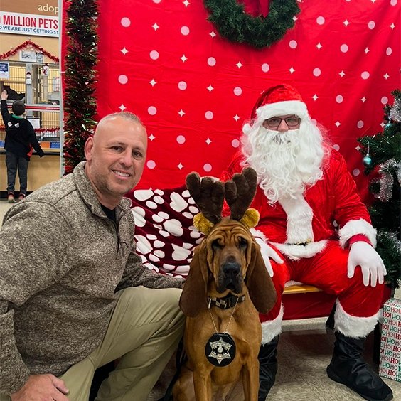 Cook County Sheriff's Office tweet media