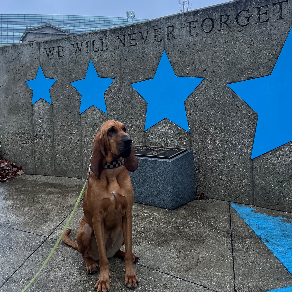 Cook County Sheriff's Office tweet media