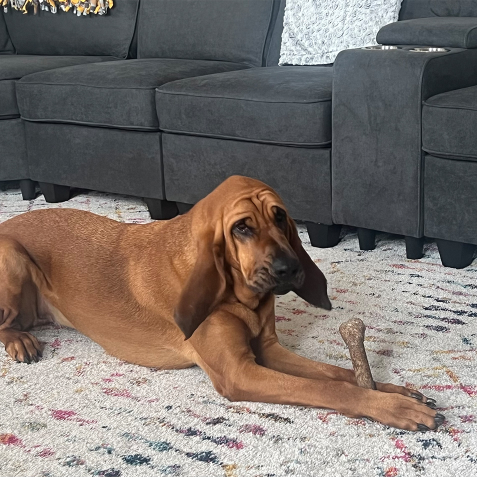 Cook County Sheriff's Office tweet media