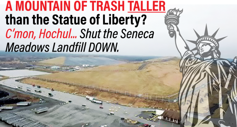 Climate Solutions Accelerator tweet media