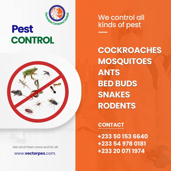 Preacherboye's tweet image. 🚫🦟 Say goodbye to unwanted insects with @vectorpes! Ready anytime to help keep your home and office pest-free. 🌟
#JospongHeroJourney
#ZoomlionInterventions 

#PestManagement #OfficeCare #VectorPES 

#CAFAwards2024 So Bawumia Amad NPP MPs Ademola lookman
Shatta Wale Ato Forson