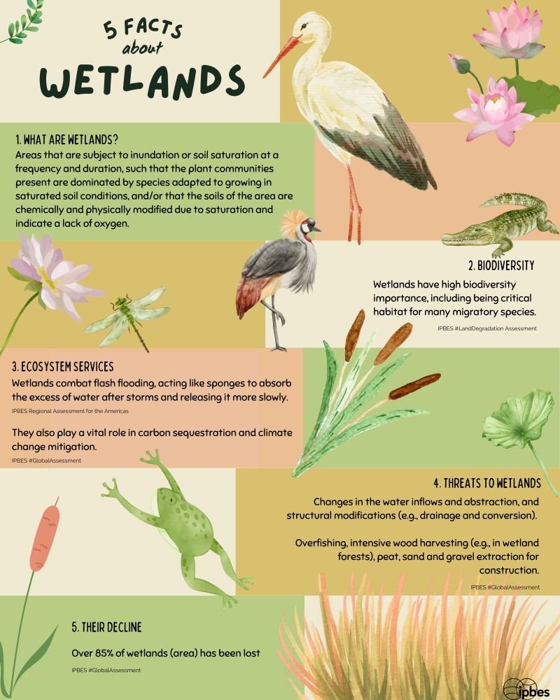 UN Biodiversity tweet media