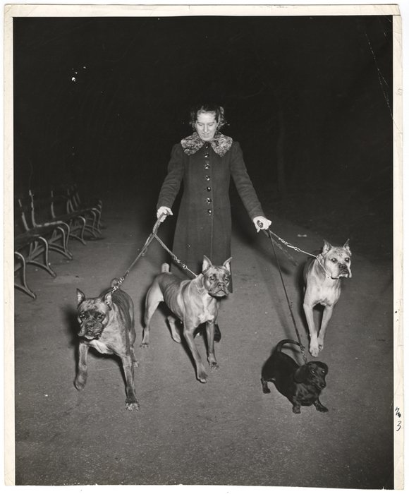 Fifth Ave. in the 80’s Central Park side, 4:30 a.m.; Weegee finds a maid exercising four dogs. She won’t say why, or whether she usually exercised dogs at that hour. All she’d say was that she wanted to write fiction.