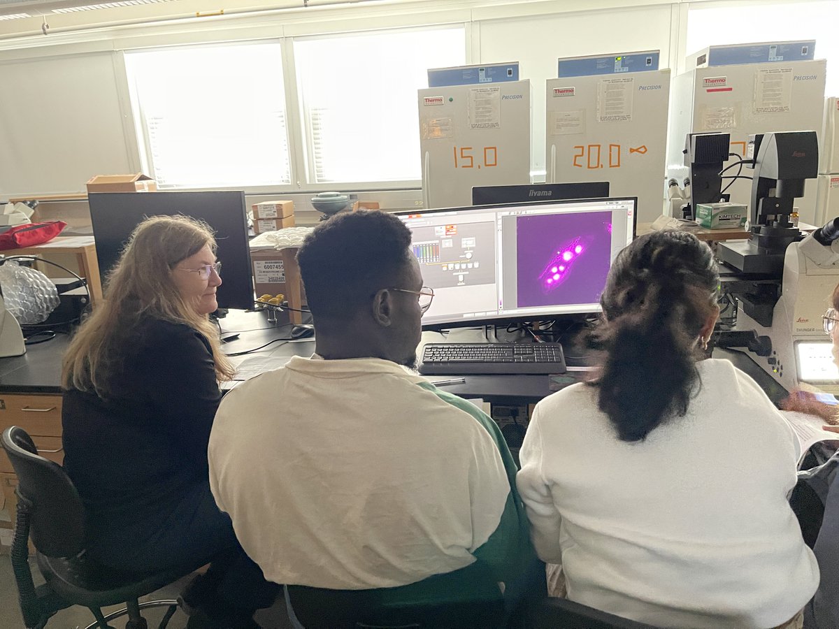 KnerLab's tweet image. Applications for AQLM 2025 due today for full consideration! @AQLMMBL @MBLScience
Apply here:
mbl.edu/education/adva…
Imaging with Leica at AQLM
