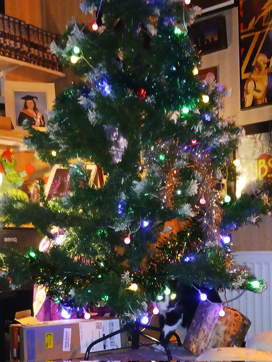SkullPrint3's tweet photo. #findmycatchallenge🏆
Level: furry fukkin bauble https://t.co/PLPqKHydVT