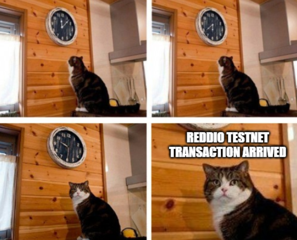 Disgustress's tweet photo. @reddio_com public testnet is LIVE! You can join here https://t.co/uKKNofNd02
#meme #cryptocurrency #reddio https://t.co/mSqcQnCrC5