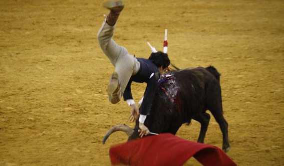 ¿Esto es cultura?. ¿Esto derechos de los menores? ¿Esto es defensa de la infancia?. ¿Esto es cumplir con la Convención de los derechos de los niños?. Esto es una vergüenza.
<a href="/sokhrates/">SOKHRATES</a>
Firma para evitarlo.
#FirmaNoEsMiCultura

noesmicultura.org/firma