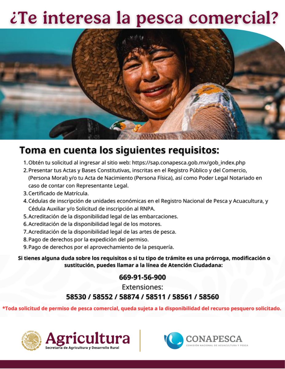 Conapesca's tweet photo. Te compartimos los sencillos pasos que debes seguir para realizar el trámite de Permisos Comerciales de Pesca.

#Trámites #Permisos https://t.co/6F8VgeYrWy