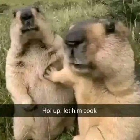 Aid3nHarding's tweet image. #NewProfilePic