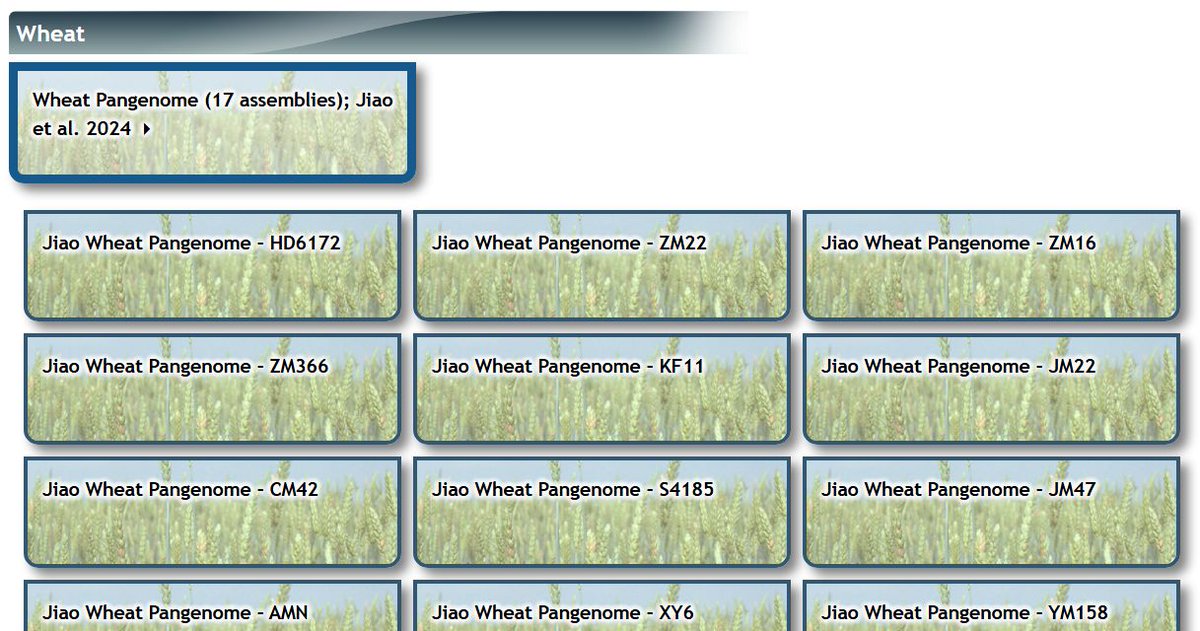 GrainGenes tweet media