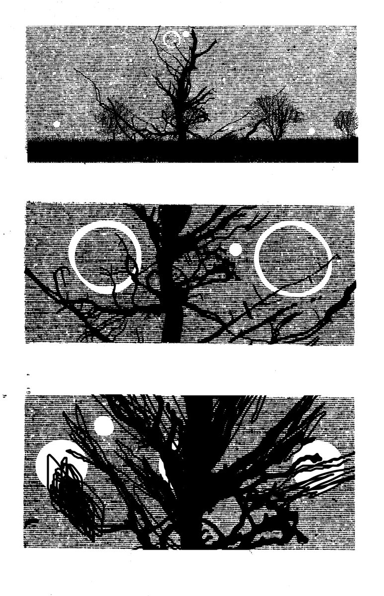 Maxim Peter Griffin tweet media