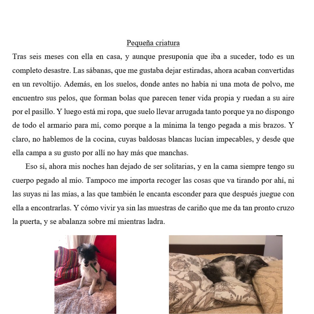 En la edición pasada del concurso Esta Noche Te Cuento, había que escribir un microrrelato inspirado en la palabra RAME, que viene a reflejar lo tremendamente bello que puede ser el caos, y yo, llevado por la inspiración, quise hacer este homenaje a una pequeña y querida criatura