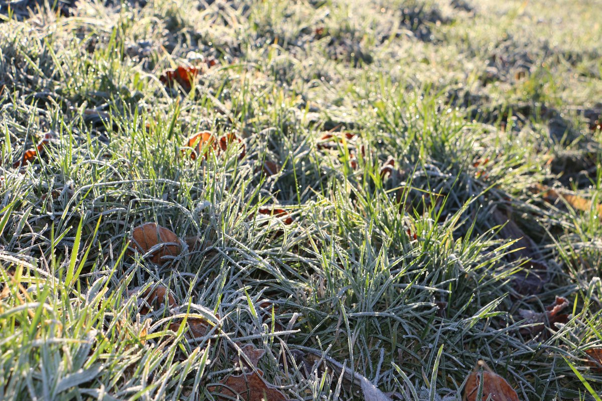 „Viele Menschen versäumen das kleine Glück, während sie auf das Große vergebens warten.“ (Pearl S. Buck) #NatureTherapy #NaturePhotography #Mindfulness #tastymind #happyness #glueck #achtsamkeit #meditation #bewusstleben #Philosophy  (tastymindset.blogspot.com)
