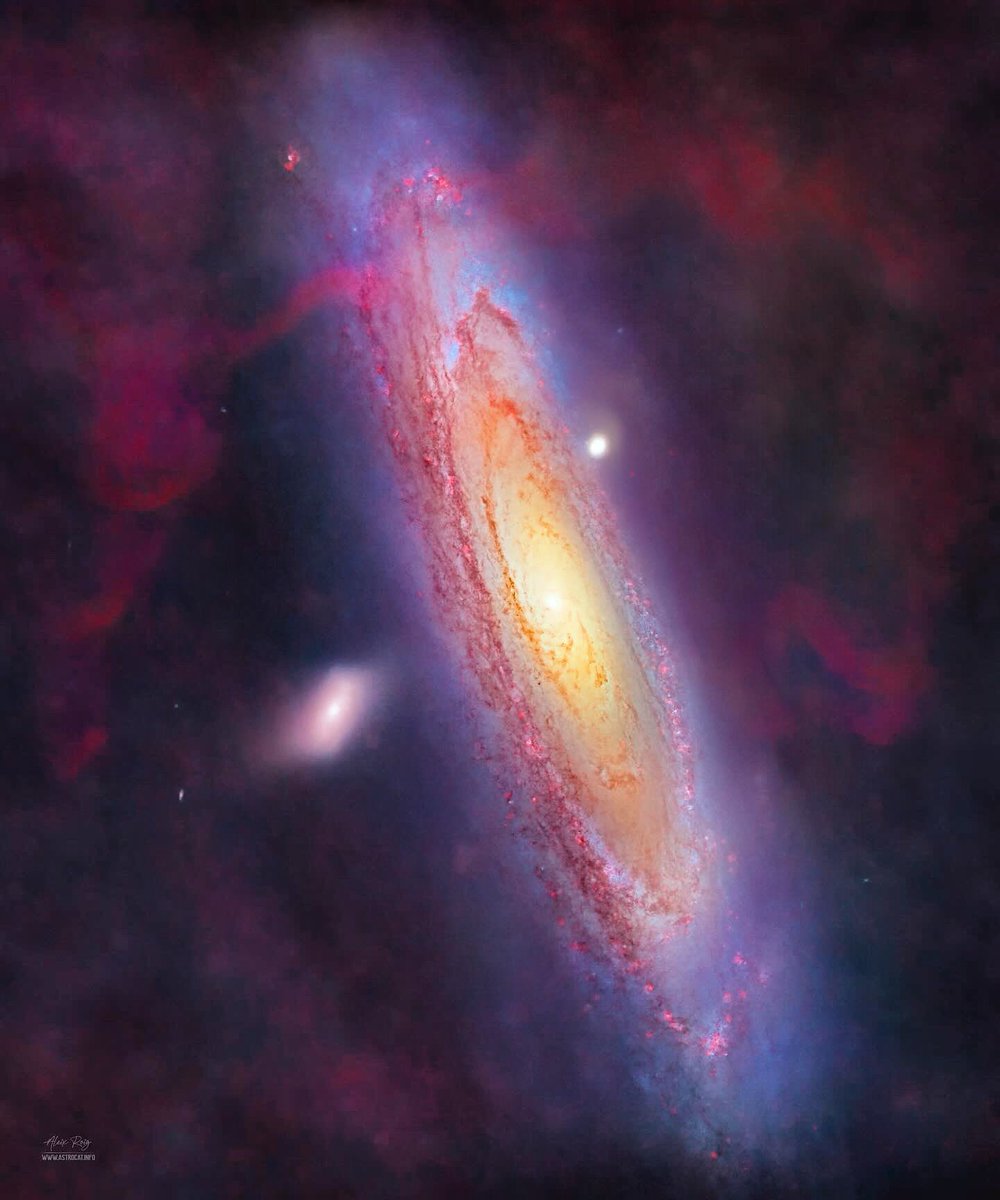 𝗔 𝗱𝗲𝗲𝗽 𝗔𝗻𝗱𝗿𝗼𝗺𝗲𝗱𝗮 𝗴𝗮𝗹𝗮𝘅𝘆 +𝟭𝟯𝟭𝗵 &amp; 𝟱 𝗺𝗼𝗻𝘁𝗵𝘀

📷 <a href="/astrocatinfo/">Aleix Roig</a> 2024