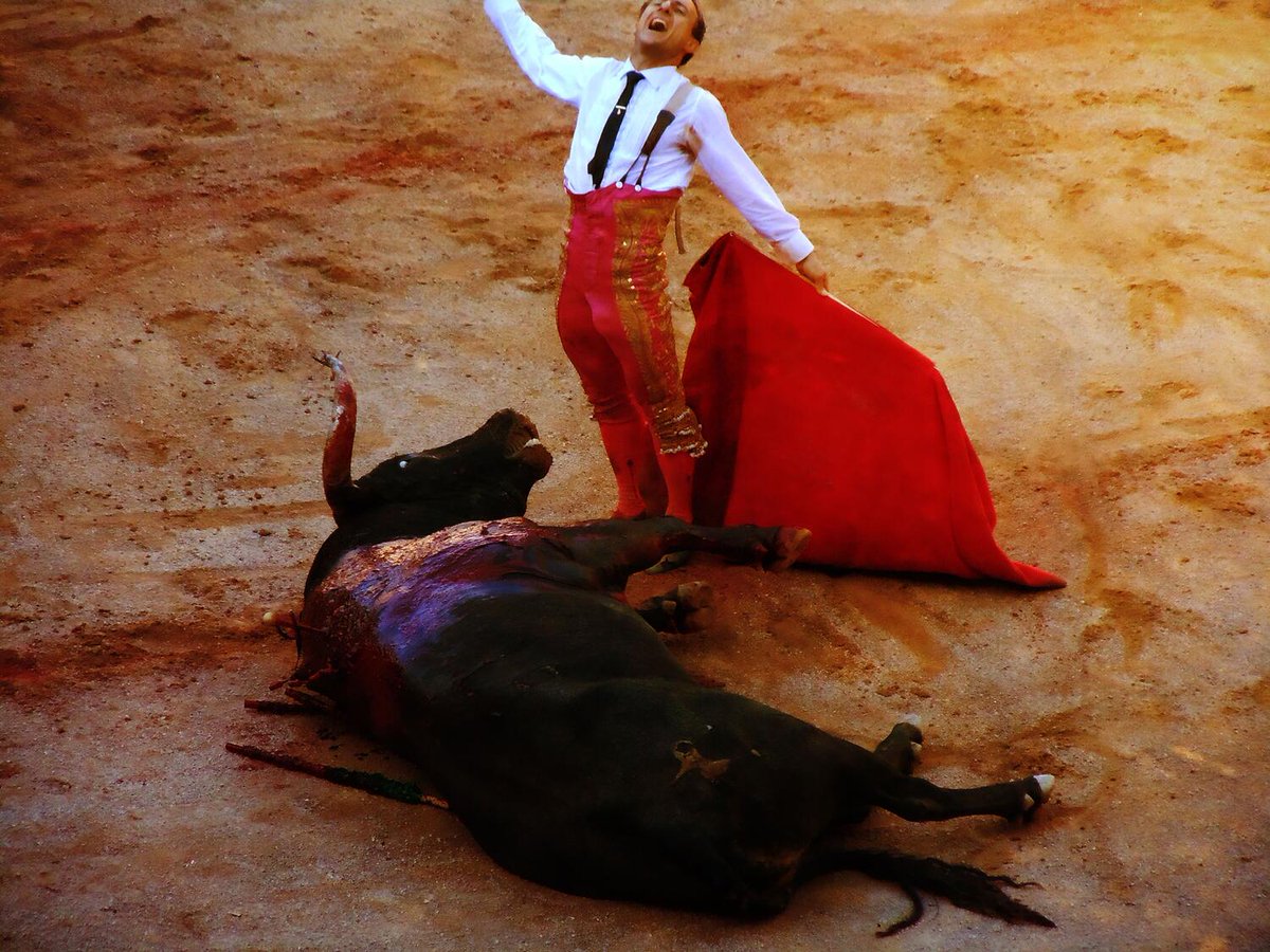 Más del 50% de la población española está a favor de prohibir o limitar las corridas de toros y casi 8 de cada 10 personas se manifiestan en contra del uso de animales en la tauromaquia. 
Firma noesmicultura.org/firma
#FirmaNoEsMiCultura