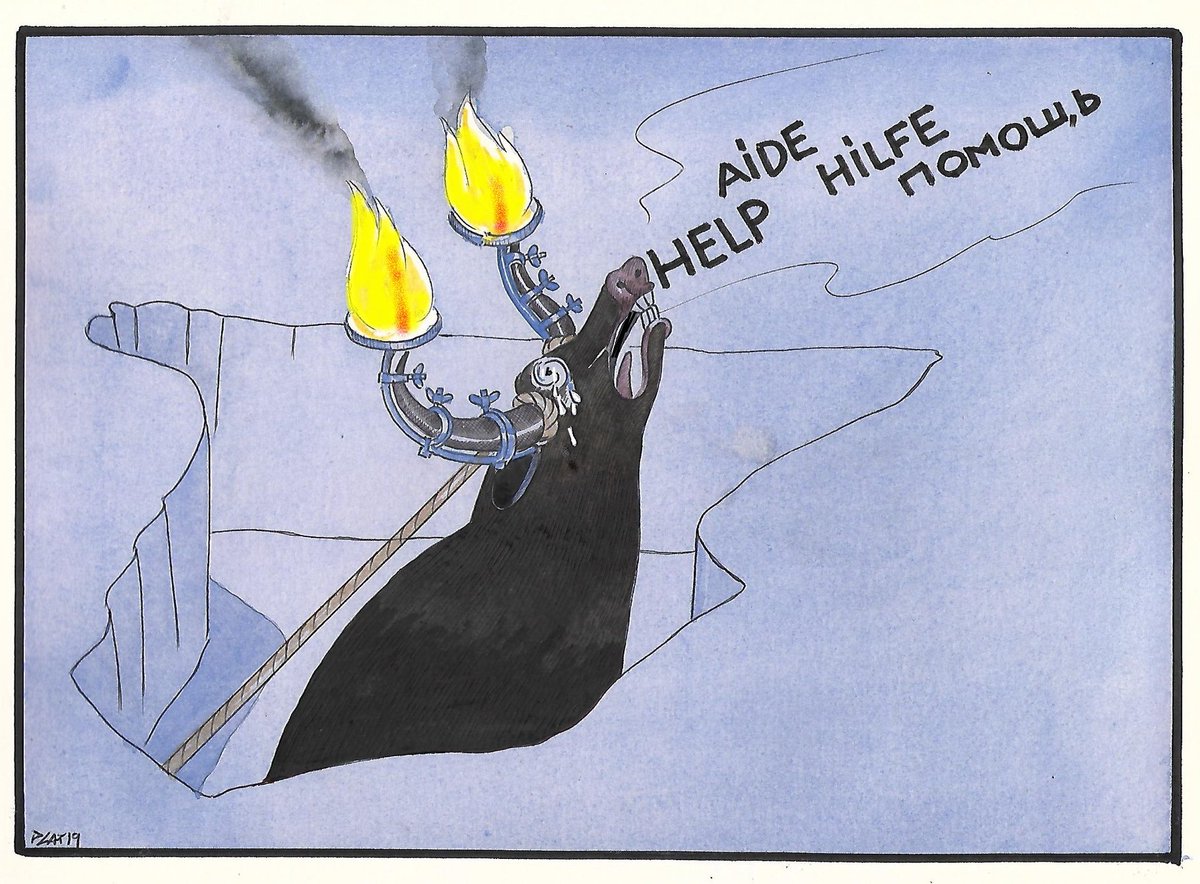 Parece que la capacidad de causar dolor a esta belleza de animal noble. No tiene fin. tenemos que derogar la Ley que lo considera bien de interés nacional. Firma aquí
<a href="/isabelgalavis/">Isabel Galavís 🌻🐾</a> 
#FirmaNoEsMiCultura

noesmicultura.org/firma