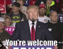 Mink's tweet image. My Canadian brothers