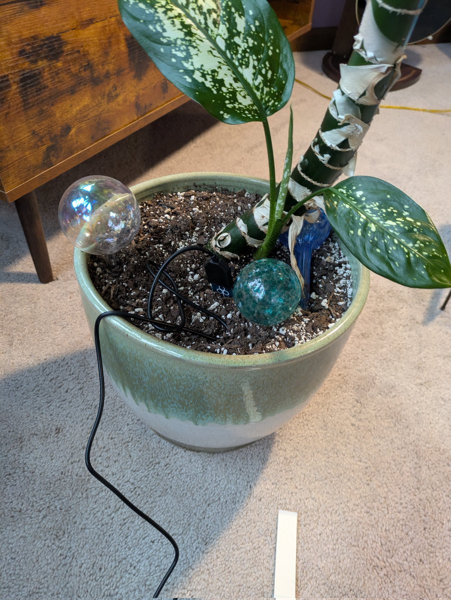 JamesBland_Econ's tweet image. When your favorite person gets into plants in a big way, and you want to be part of the fun but your skills with a soldering iron are much better than your plant skills.
This thing sends moisture, temperature, and humidity data to a Google sheet every 10 minutes
#ESP8266