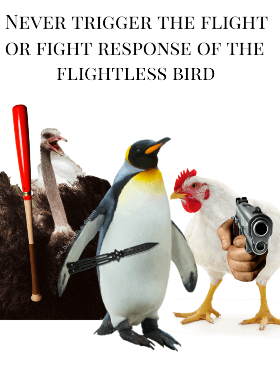 nocontextmemes's tweet photo. https://t.co/Fyz9JooEUQ