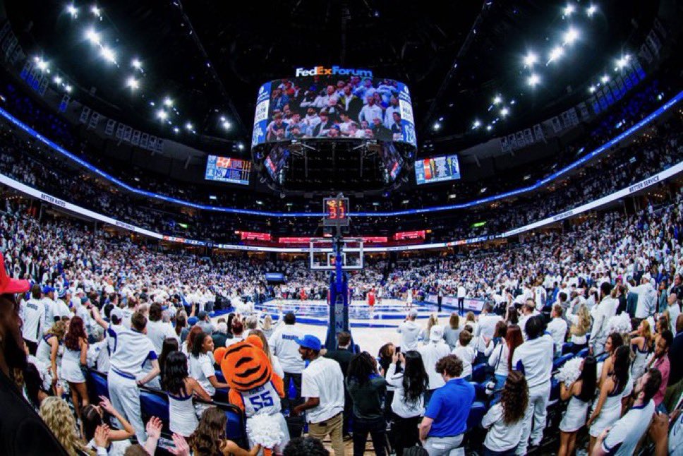 Ⓜ️🐅 tweet media