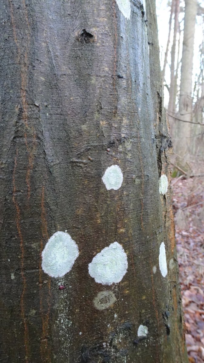 Clerisy📚 tweet media