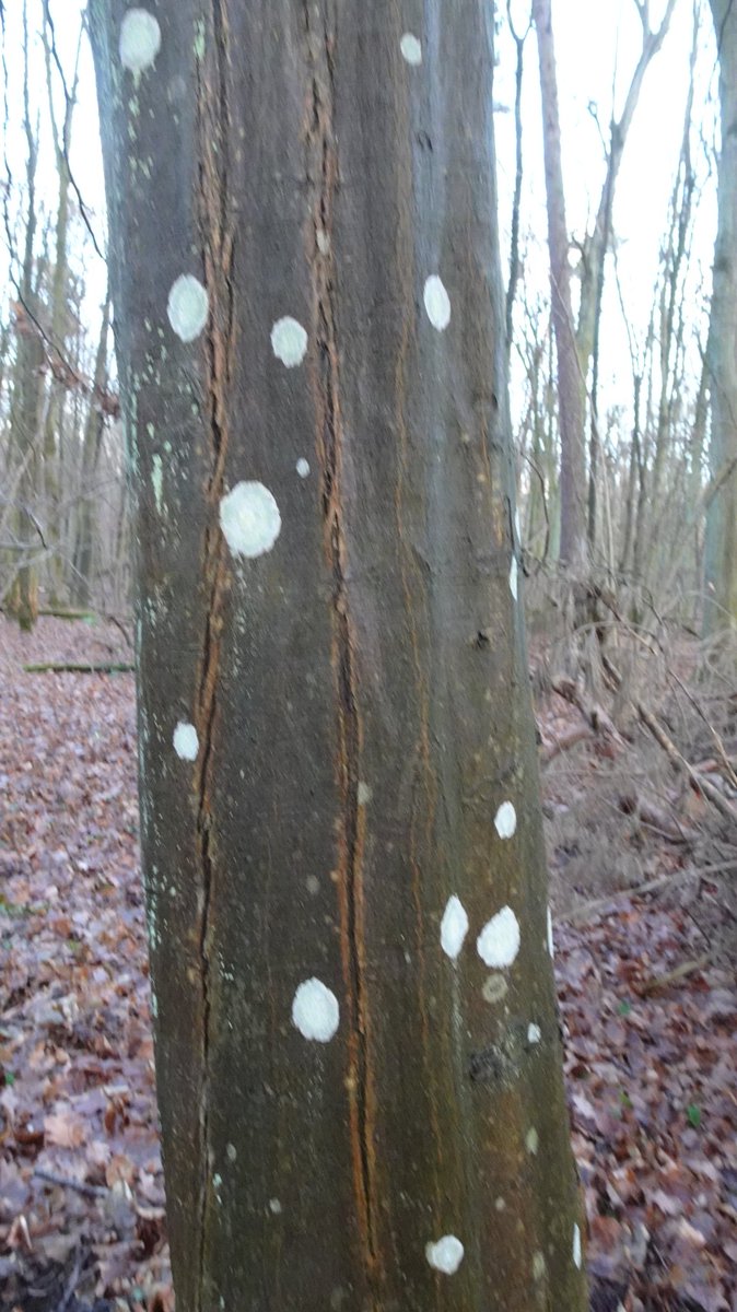 Clerisy📚 tweet media