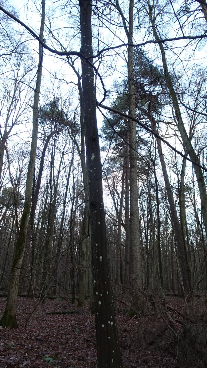 Clerisy📚 tweet media