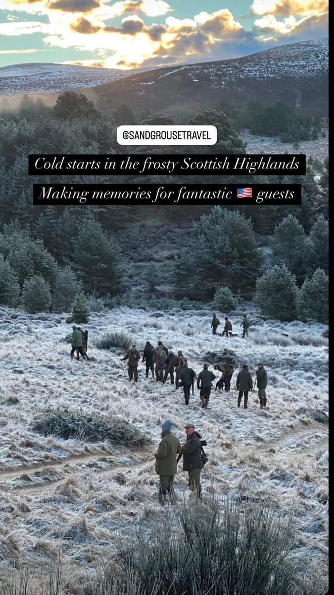 Sandgrouse Travel & Expeditions tweet media