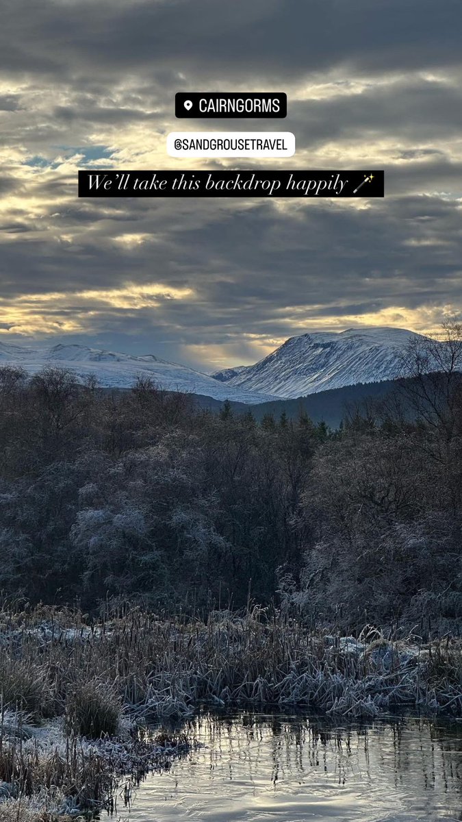 Sandgrouse Travel & Expeditions tweet media