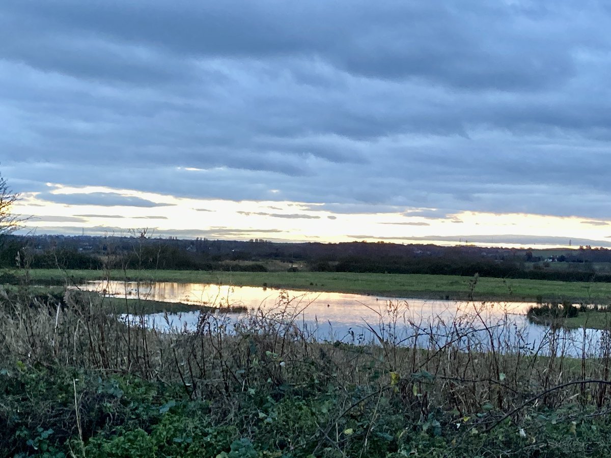 Steve Coates tweet media