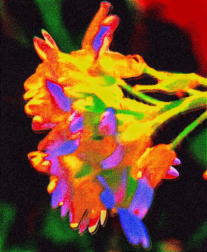 CarstenMoin's tweet photo. #FlowersOfX 😎

#abstractart #popart #design #flowerart #ColorfulArt #DigitalArtist https://t.co/C2Ri7wjEgh