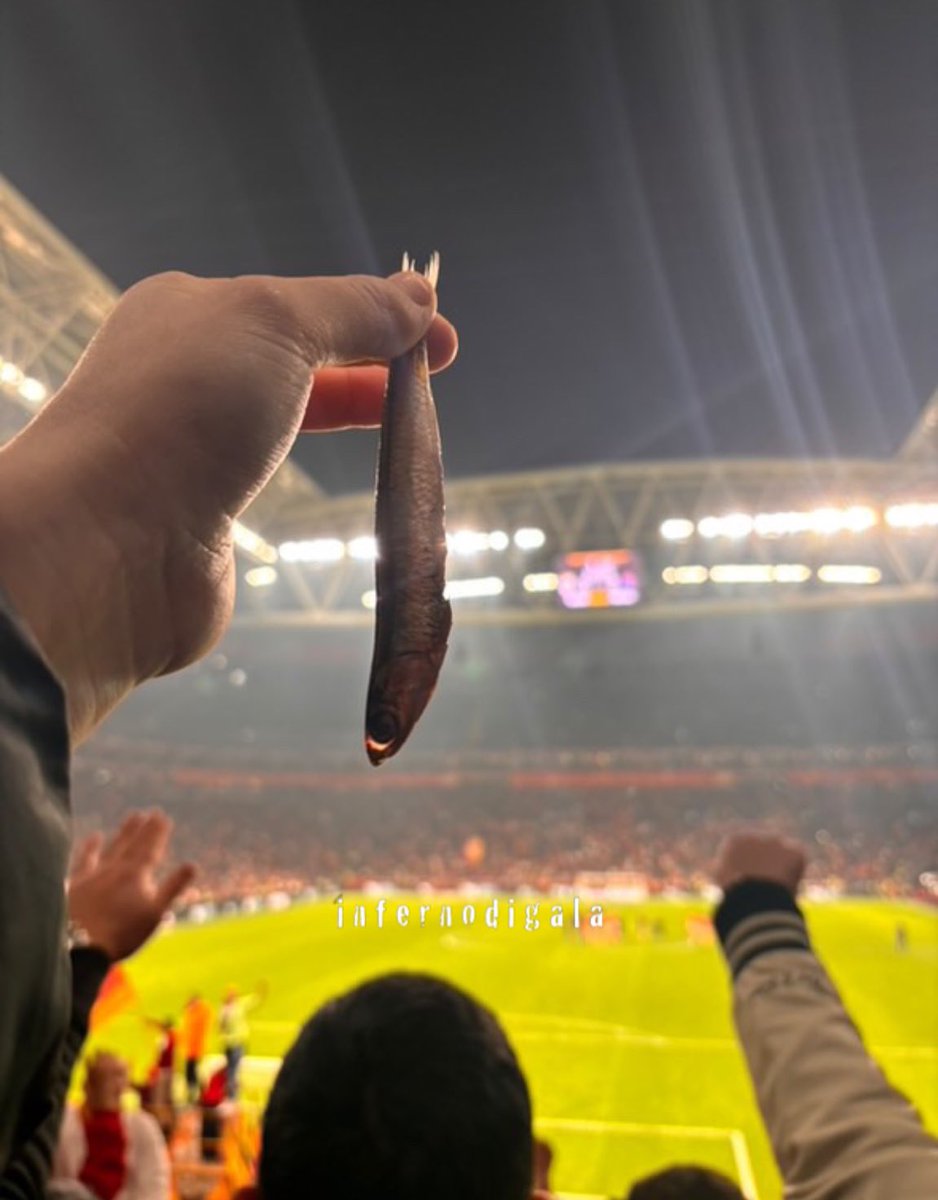 infernodigala_'s tweet photo. S!KERLER ŞAŞKIN 😉 https://t.co/mZPOm65AdD