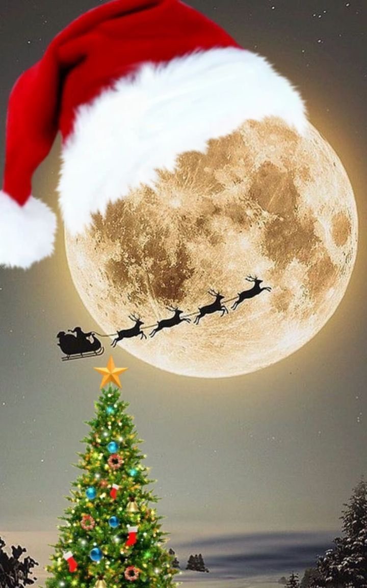CamilleLanner's tweet photo. Happy Christmas to y’all 😍😍 https://t.co/NOS7CFFgKe