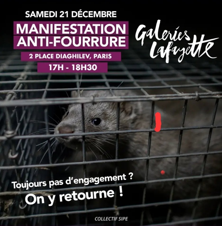 Collectif SIPE tweet media