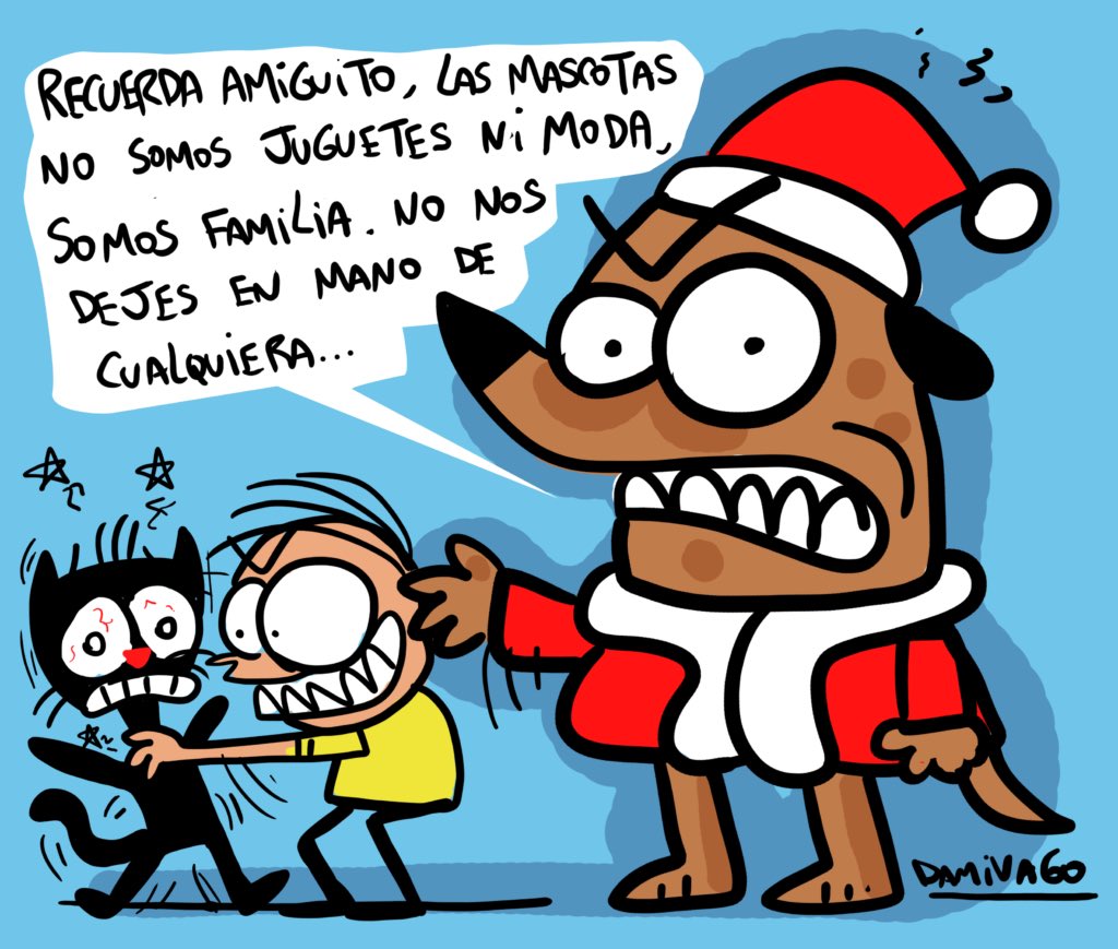 Consejo del viejito pasperro