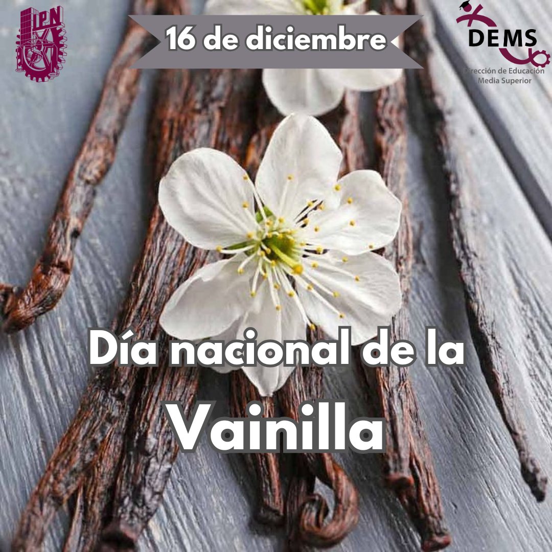 La #Vainilla es una orquídea endémica de México, que representa un legado cultural y su producción tiene potencial en el mercado global, ya que durante casi 300 años, México fue el único productor en el mundo y ha sido parte fundamental de la identidad nacional durante siglos.
