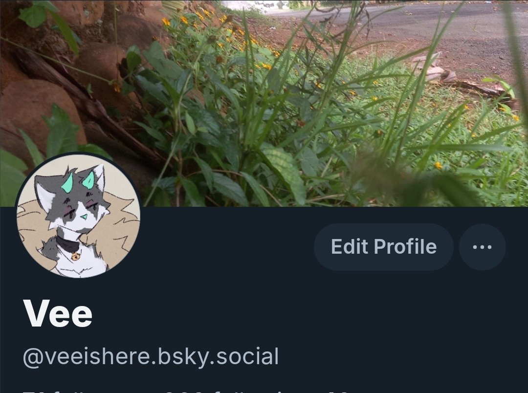 Vee_Is_Here's tweet photo. so, wasnt initially planning on dipping entirely
but kinda just dont see a point coming back here anymore other than to check out some specific artists that didnt move over
so hey if youre interested, im there now https://t.co/kOknWGj6y7