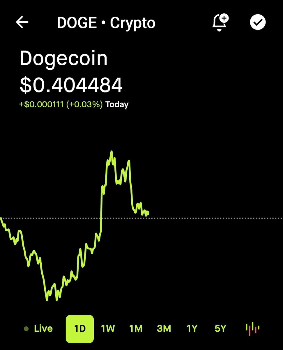 Just bought some birthday Doge!