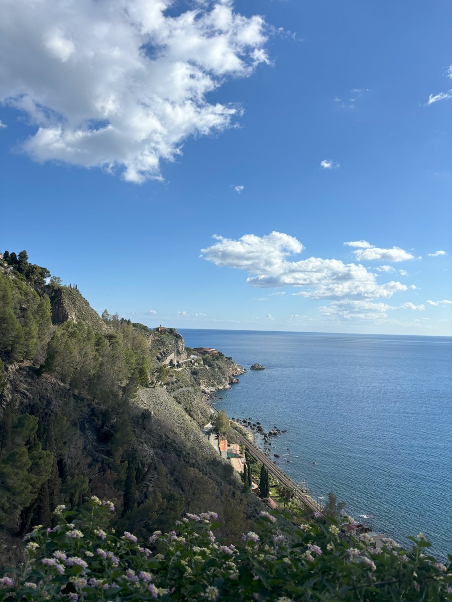 Pitt Global Experiences tweet media