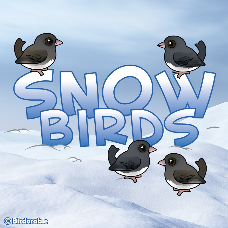 Meet the Snow Birds of the season. ❄️ Check out these Birdorable Dark-eyed Juncos enjoying their winter wonderland. Have you spotted any juncos where you live? 👀