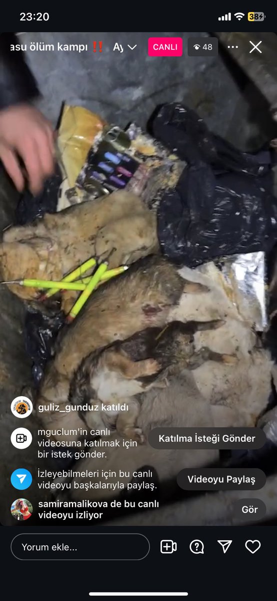 Aydın Karacasu Belediyesi ruhsatsız barınak! Hayvan katletmede adeta yarışıyosunuz <a href="/eczozgurozel/">Özgür Özel</a> başıboş belediyelerine sahip çıkın! Bu ne artık ya bu ne??? <a href="/nimetozdemir34/">Nimet Özdemir</a> <a href="/AliyeErsever/">Aliye Timisi Ersever</a> <a href="/alimahir/">Ali Mahir Başarır</a> <a href="/SibelSuicmez/">Av. Sibel Suiçmez</a> #Türkiyedekatliamvar #aymyasayıiptalet <a href="/AYMBASKANLIGI/">Anayasa Mahkemesi</a> her yerden