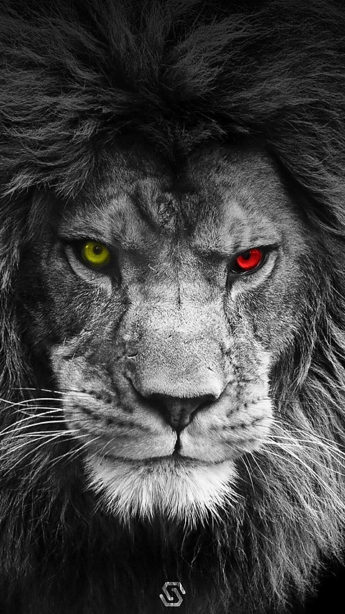 İyiler sonunda mutlaka kazanır 👏👏👏💛❤💛❤