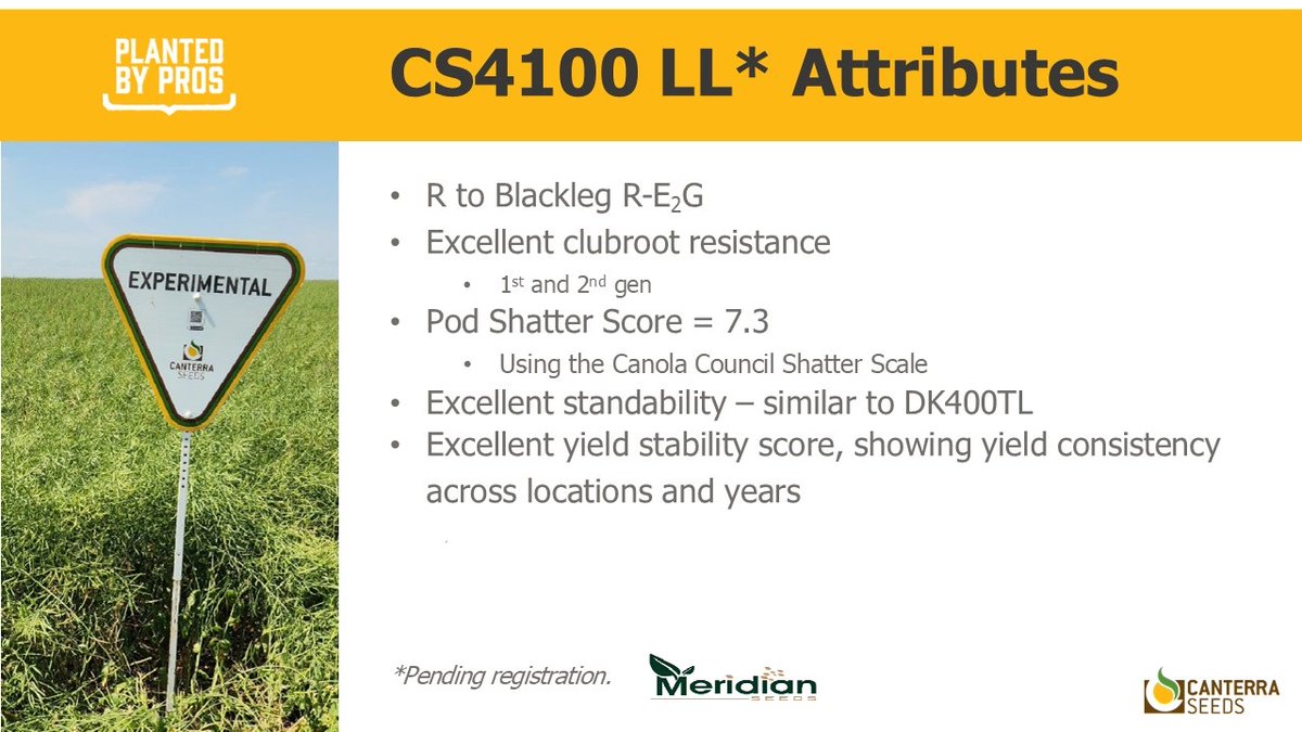 A LibertyLink Canola Hybrid featuring PodProtect shatter tolerance for superior straight cut performance. Excellent disease resistance. Limited supply. Reach out today for more information. meridianseeds.com/.../canola-see…
#canola #farming #canolafields